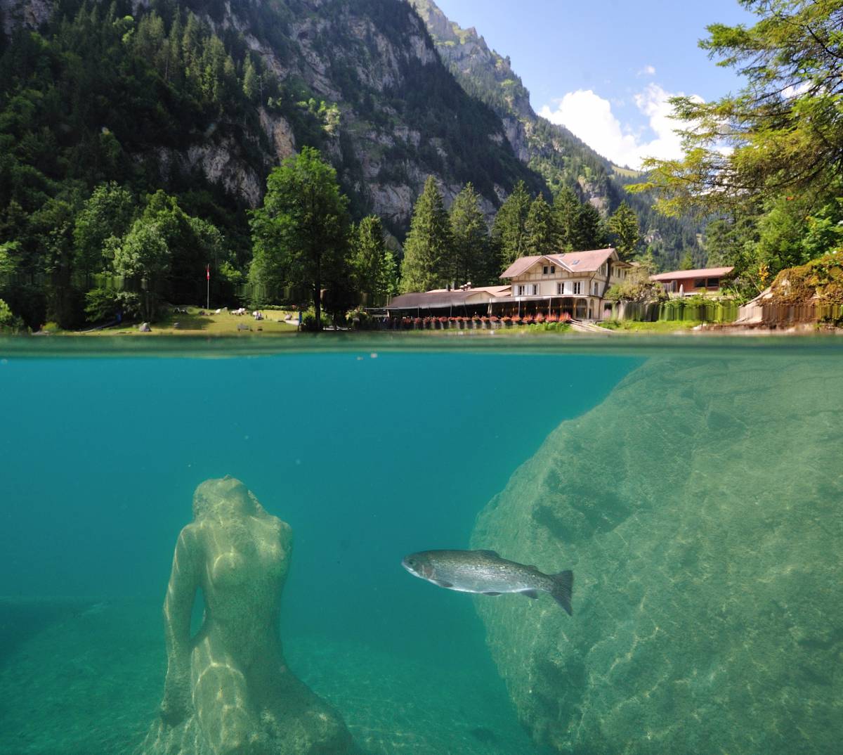  Blausee with trout, bistro in the background