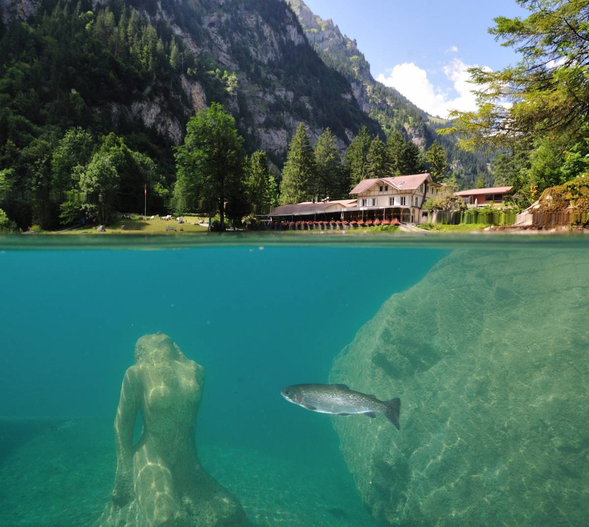  Blausee avec truites, bistro en arrière-plan