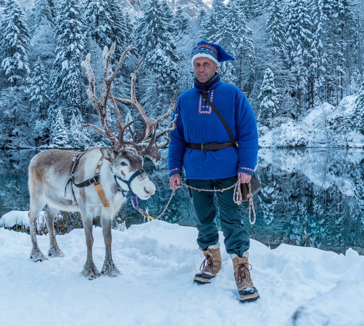  Winter magic with reindeer at the Blausee Christmas market