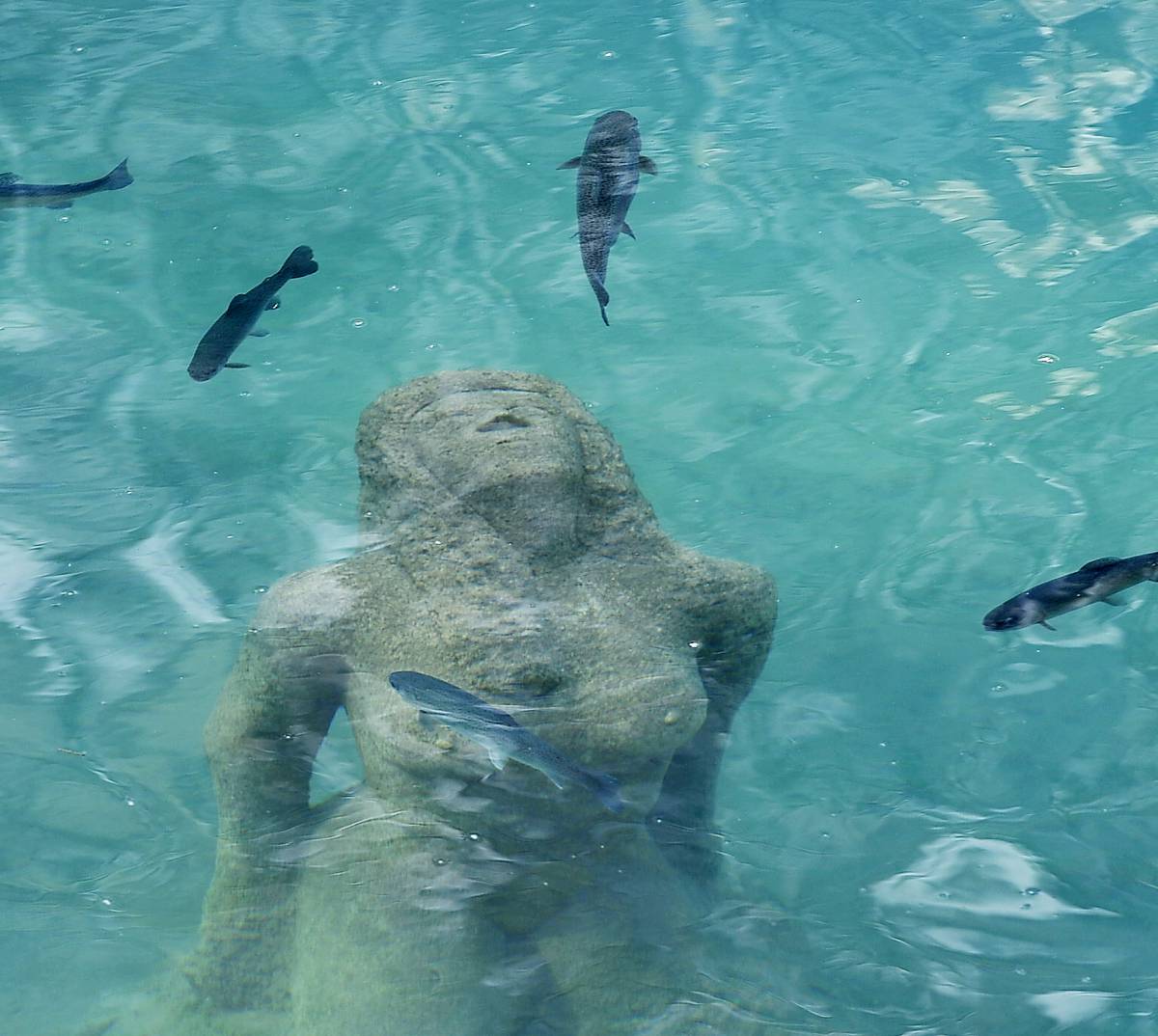 Blausee Schweiz Fische im Wasser