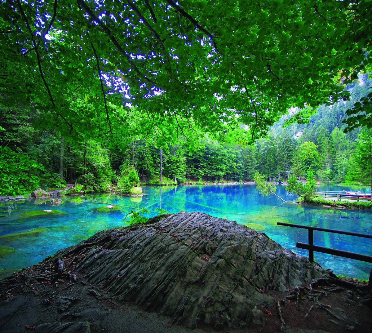 Blausee im Sommer