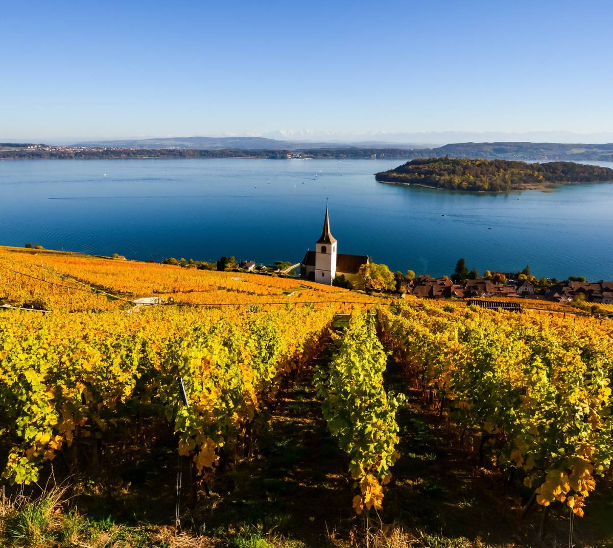  Le lac de Bienne, en Suisse